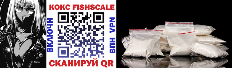 COCAIN Fish Scale  Купить где  Кушва 