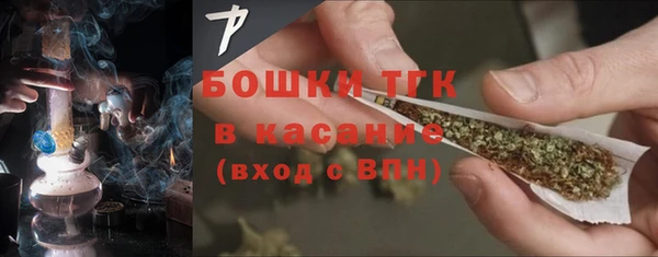 сатива Верхний Тагил