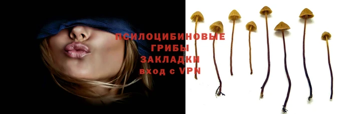 сатива Верхний Тагил