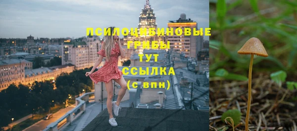 ГАЛЛЮЦИНОГЕННЫЕ ГРИБЫ Верхнеуральск