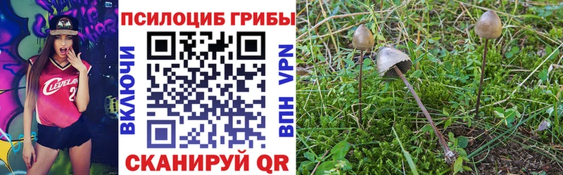 Галлюциногенные грибы Psilocybine cubensis  Купить где  Кушва 