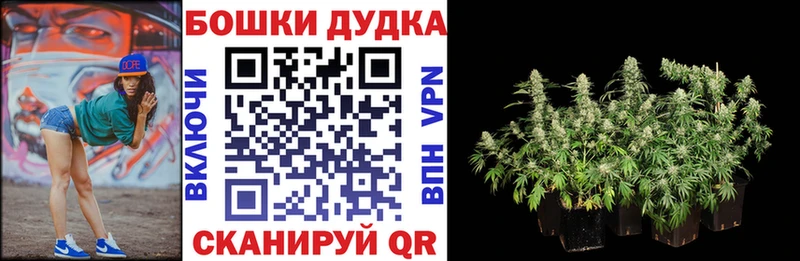 Конопля White Widow Кушва